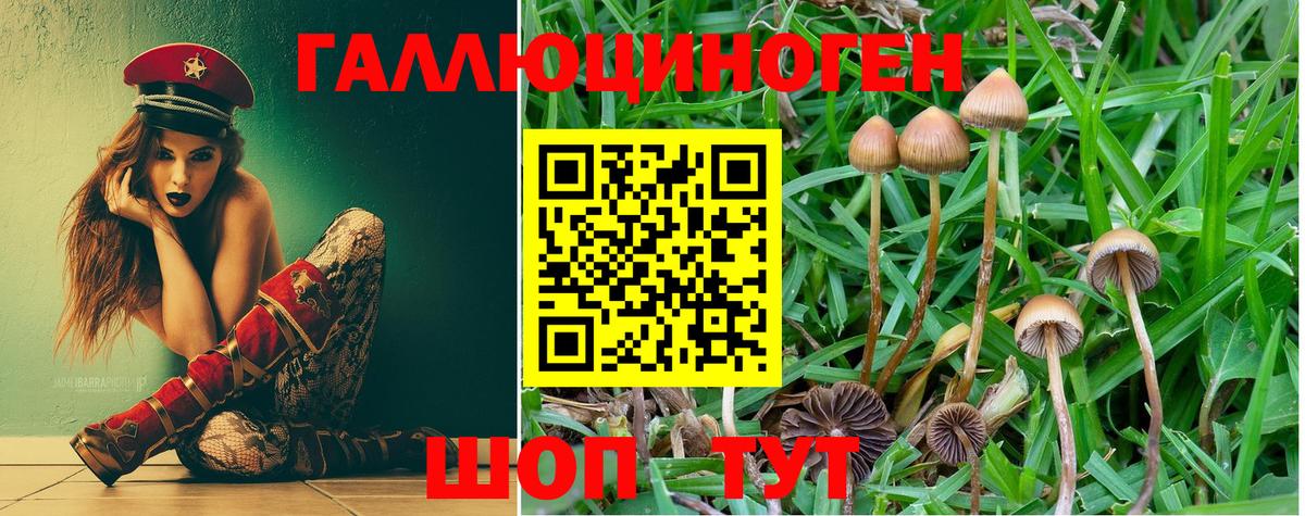 Галлюциногенные грибы MAGIC MUSHROOMS  Галлюциногенные грибы Magic Shrooms  Магадан  Вход с VPN 