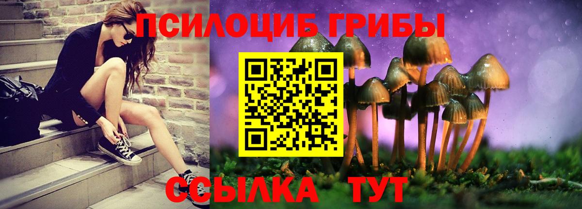 Галлюциногенные грибы MAGIC MUSHROOMS Магадан
